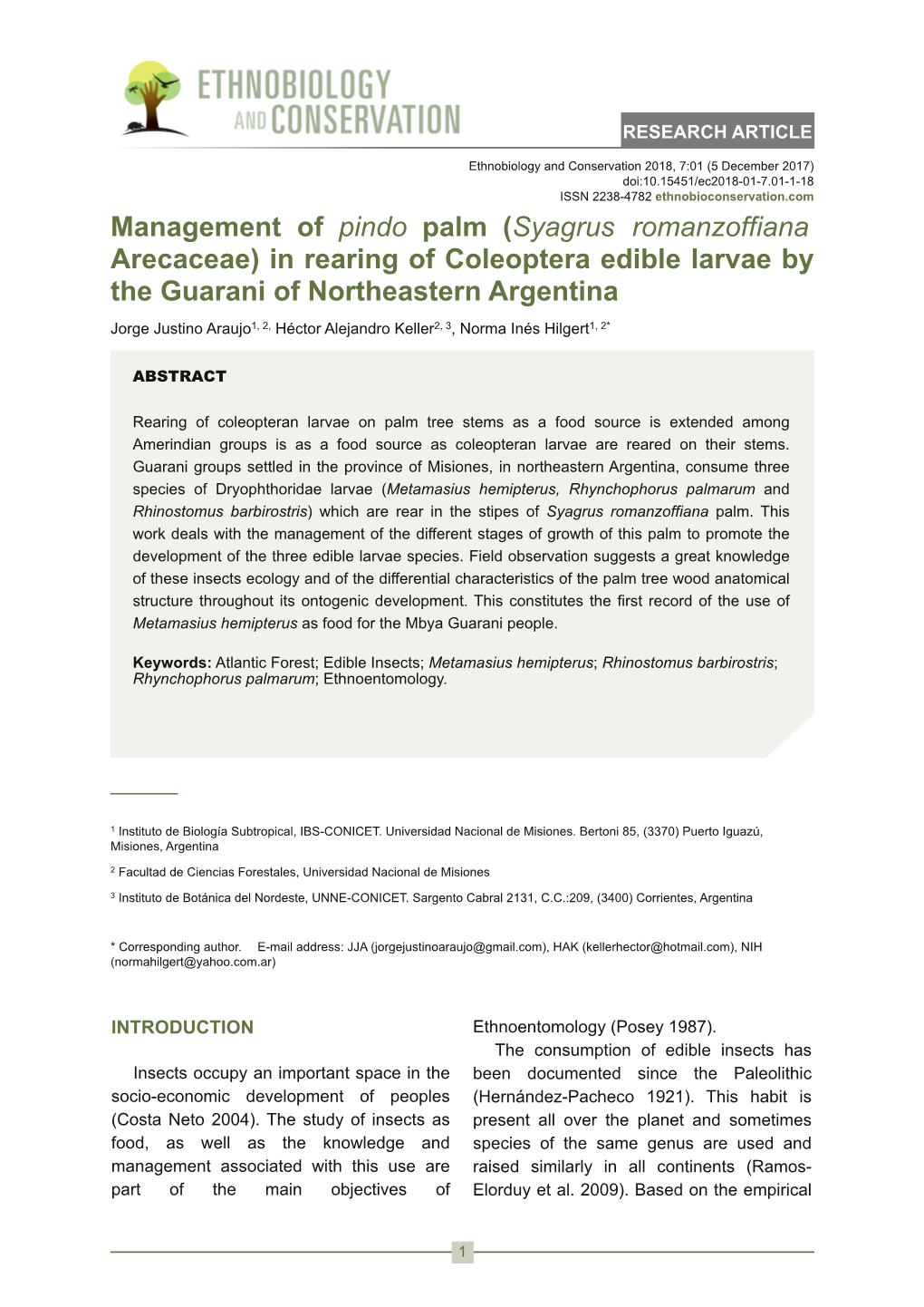 Management of Pindo Palm (Syagrus Romanzoffiana Arecaceae) in Rearing of Coleoptera Edible Larvae by the Guarani of Northeastern