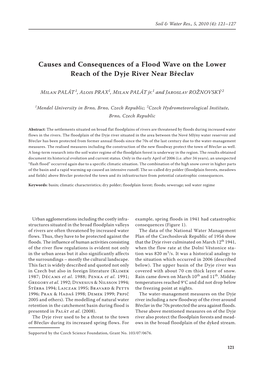 Causes and Consequences of a Flood Wave on the Lower Reach of the Dyje River Near Břeclav