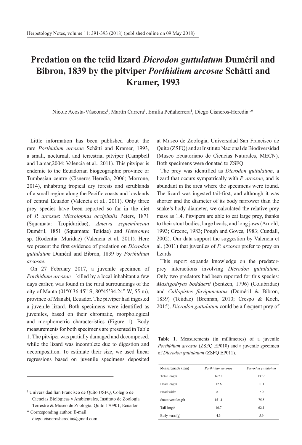 Predation on the Teiid Lizard Dicrodon Guttulatum Duméril and Bibron, 1839 by the Pitviper Porthidium Arcosae Schätti and Kramer, 1993