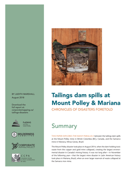 Tailings Dam Spills at Mount Polley & Mariana Summary