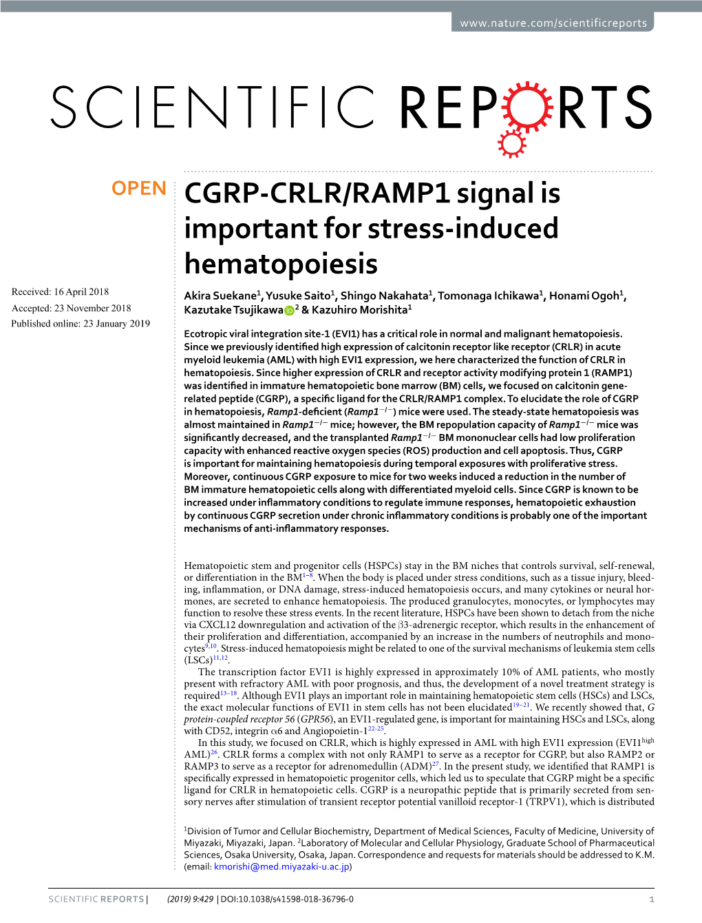 CGRP-CRLR/RAMP1 Signal Is Important for Stress-Induced