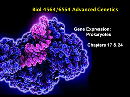 Gene Expression Prokaryotes