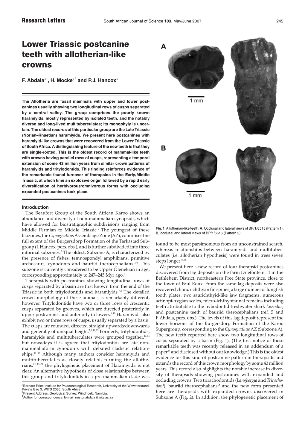 Lower Triassic Postcanine Teeth with Allotherian-Like Crowns