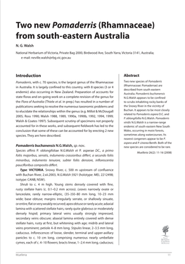 Two New Pomaderris (Rhamnaceae) from South-Eastern Australia N