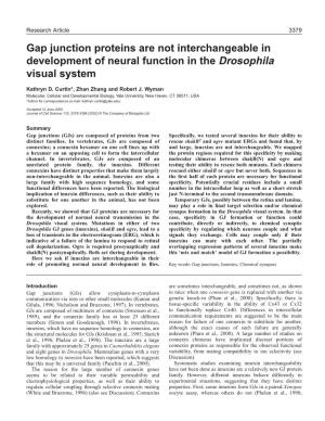 Innexin Specificity in Neural Development