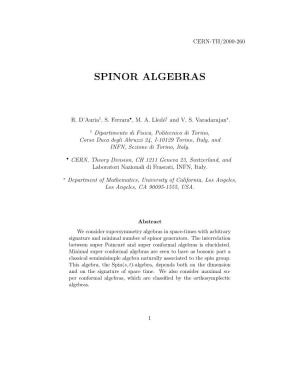 Spinor Algebras