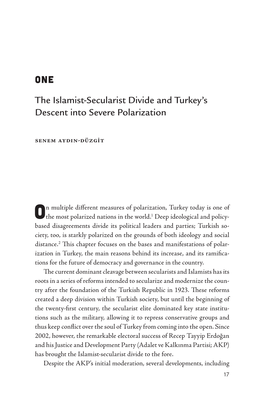 Secularist Divide and Turkey's Descent Into Severe Polarization
