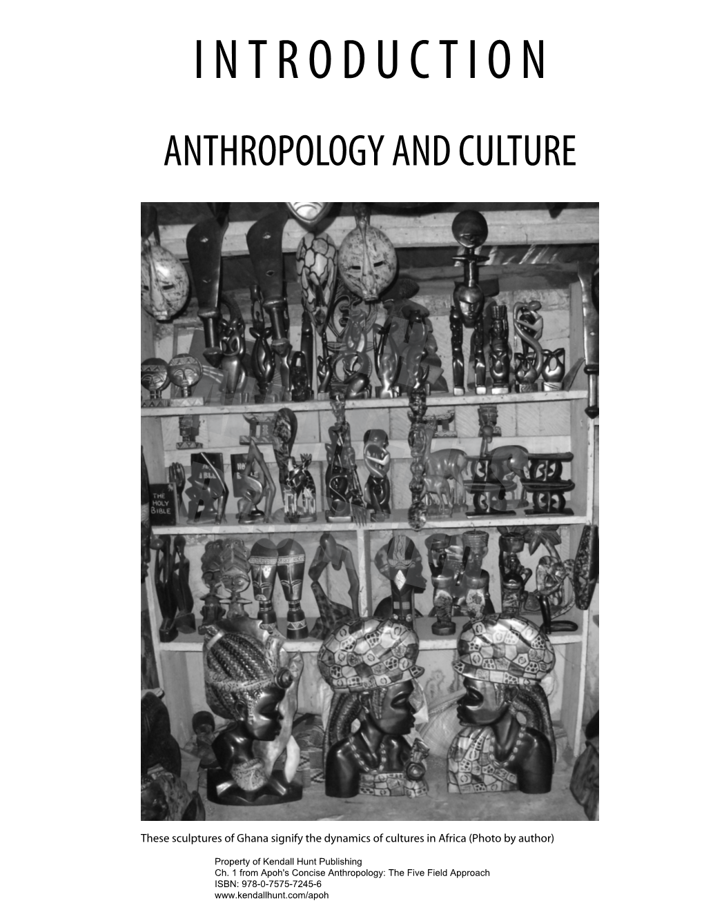 Introduction Anthropology and Culture