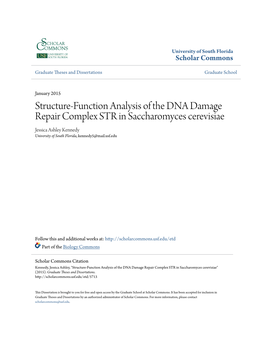 Structure-Function Analysis of the DNA Damage Repair Complex STR in Saccharomyces Cerevisiae Jessica Ashley Kennedy University of South Florida, Kennedy5@Mail.Usf.Edu