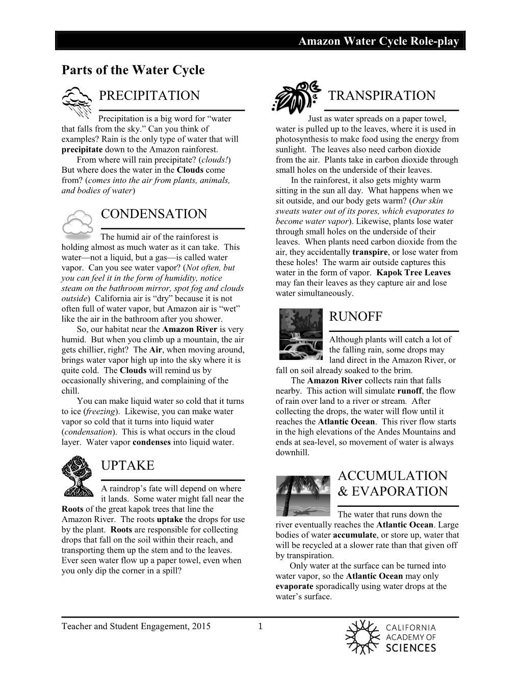 Parts of the Water Cycle PRECIPITATION CONDENSATION