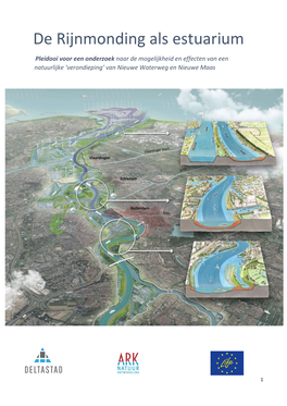 De Rijnmonding Als Estuarium Pleidooi Voor Een Onderzoek Naar De Mogelijkheid En Effecten Van Een Natuurlijke ‘Verondieping’ Van Nieuwe Waterweg En Nieuwe Maas