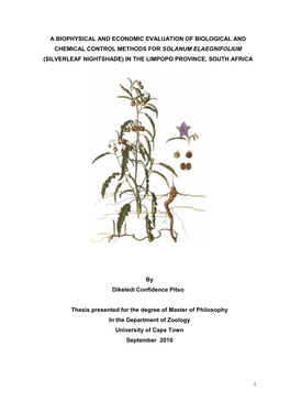 A Biophysical and Economic Evaluation of Biological and Chemical Control Methods for Solanum Elaegnifolium