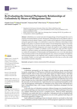 Re-Evaluating the Internal Phylogenetic Relationships of Collembola by Means of Mitogenome Data