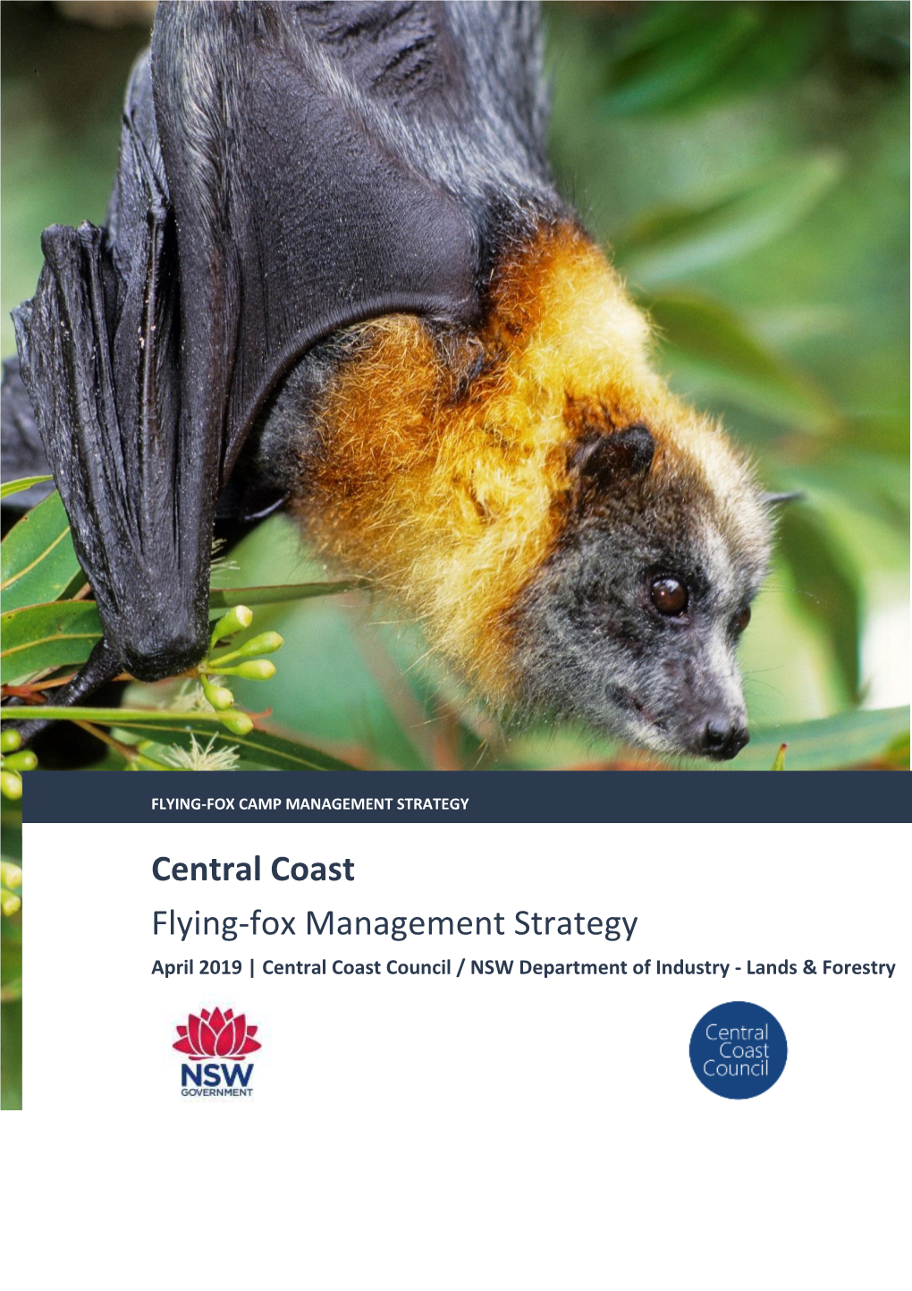 Central Coast Flying-Fox Management Strategy April 2019 | Central Coast Council / NSW Department of Industry - Lands & Forestry