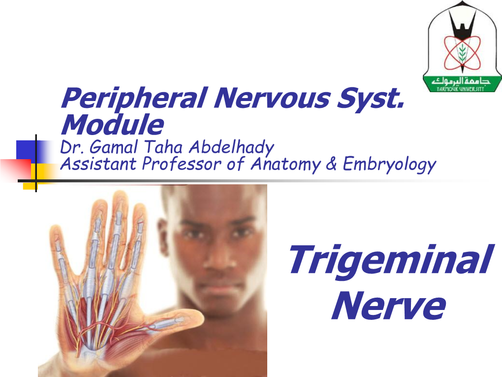 Trigeminal Nerve Lecture Objectives
