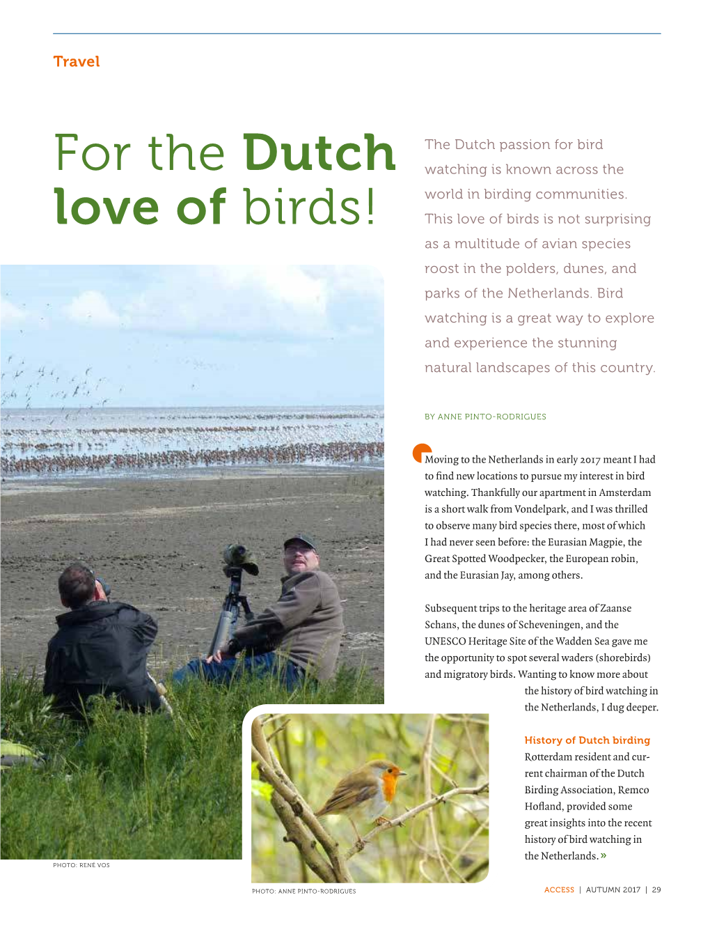 For the Dutch Love of Birds!