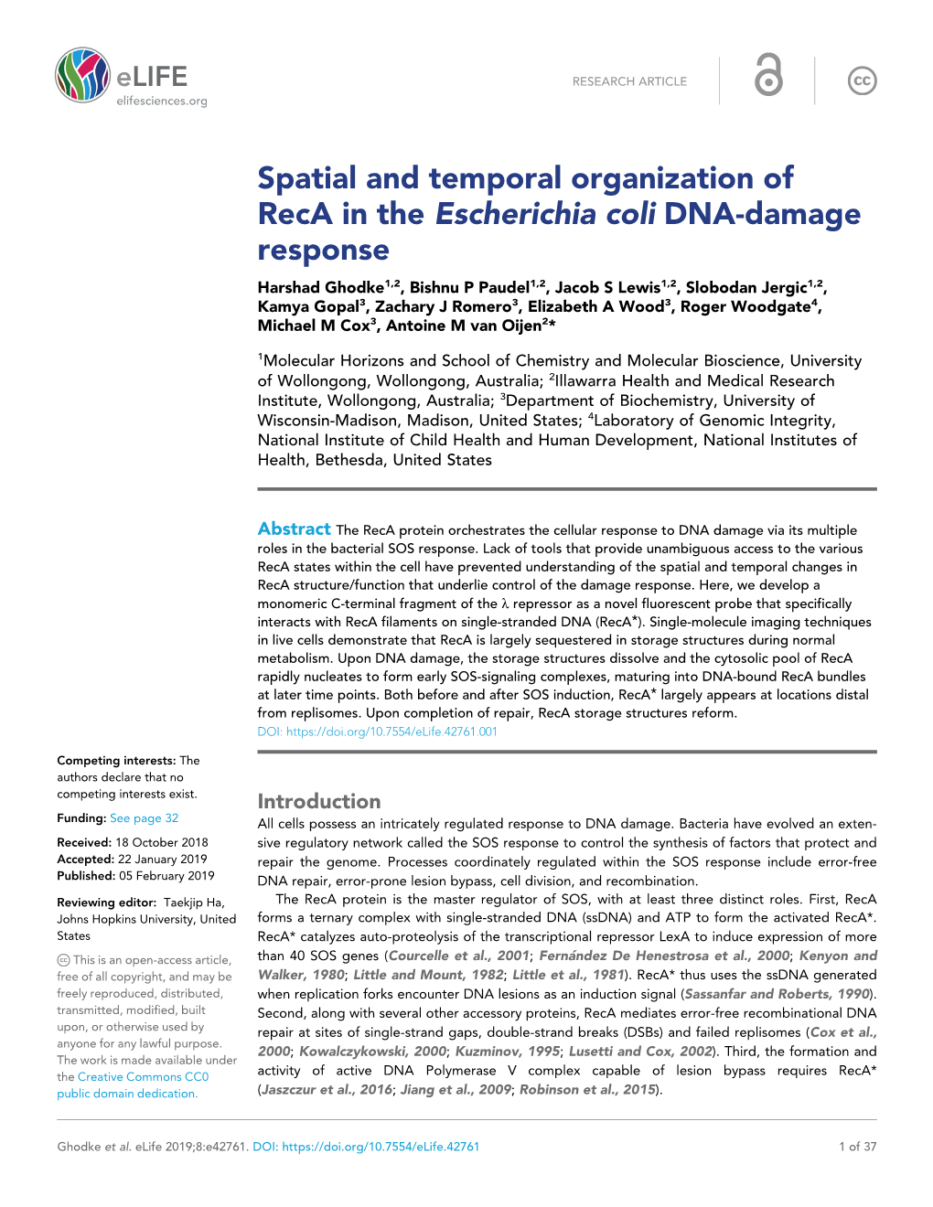 Spatial and Temporal Organization of Reca in the Escherichia Coli