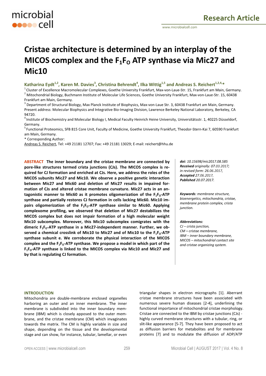 Cristae Architecture Is Determined by an Interplay of the MICOS Complex