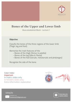 Bones of the Upper and Lower Limb Musculoskeletal Block - Lecture 1
