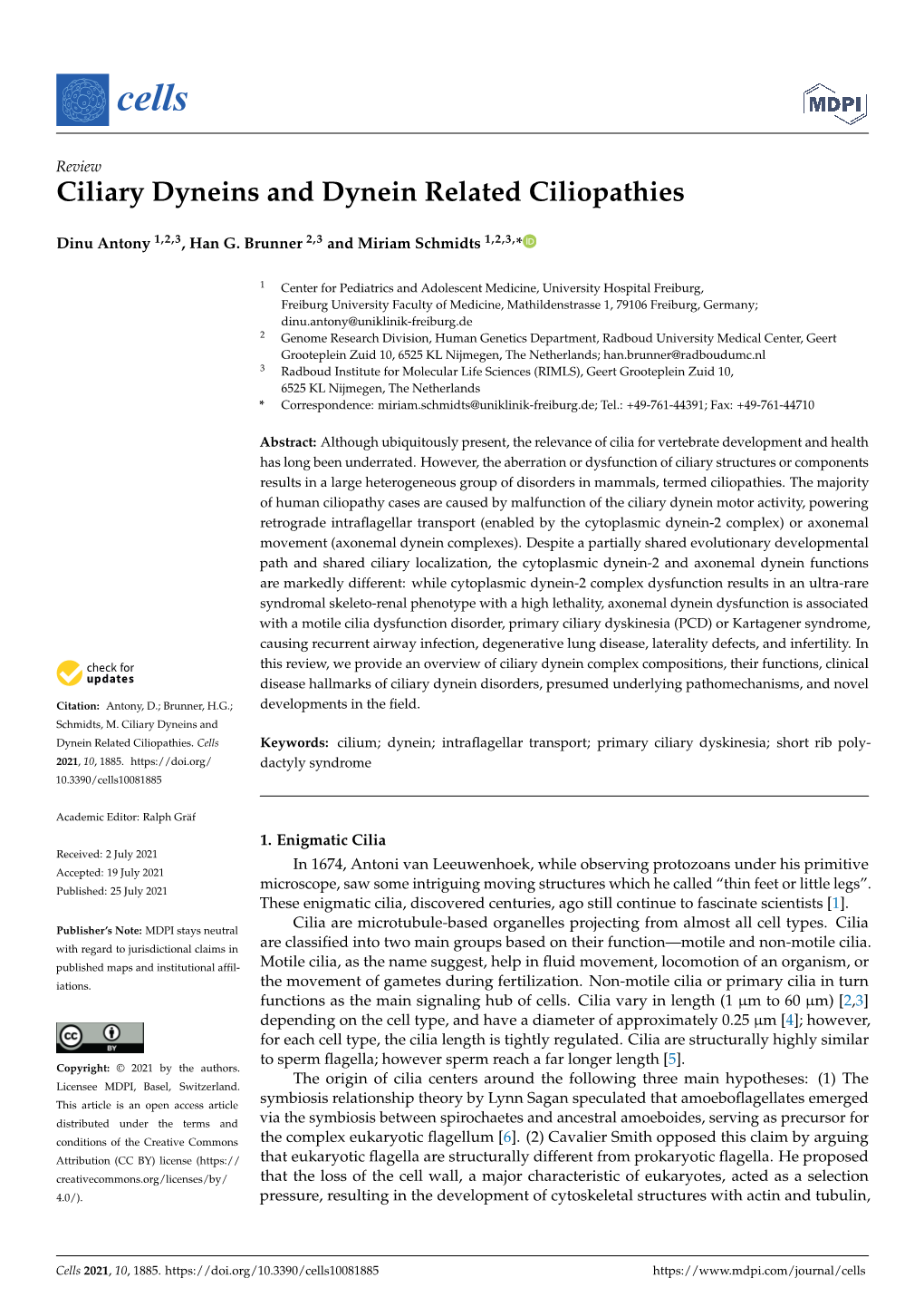 Ciliary Dyneins and Dynein Related Ciliopathies