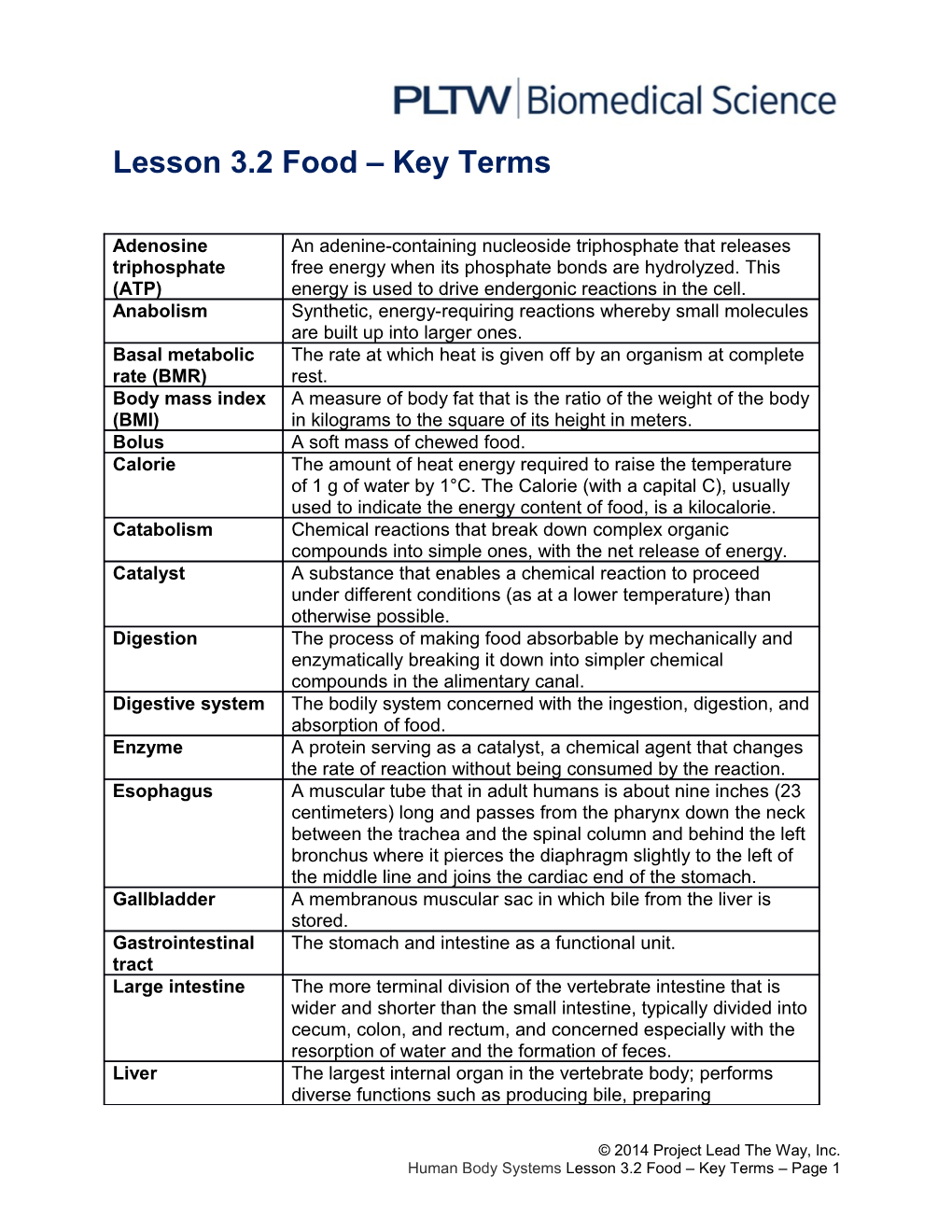 Lesson 3.2 Food Key Terms