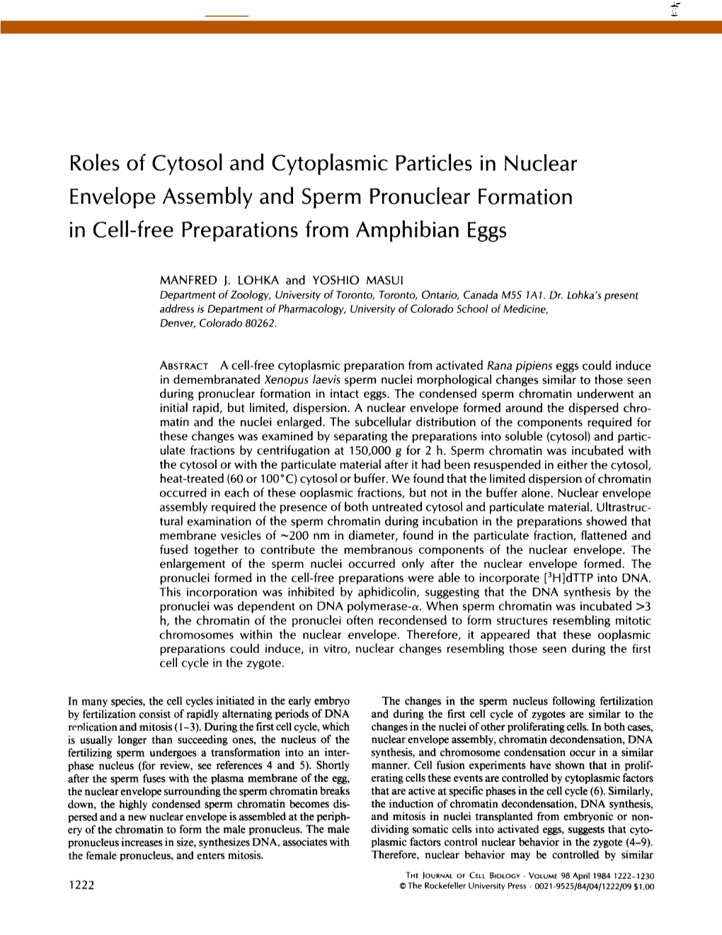 Roles of Cytosol and Cytoplasmic Particles in Nuclear Envelope Assembly and Sperm Pronuclear Formation in Cell-Free Preparations from Amphibian Eggs