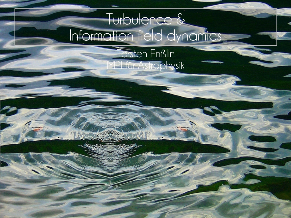 Turbulence & Information Field Dynamics