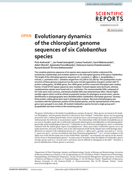 Evolutionary Dynamics of the Chloroplast Genome Sequences Of