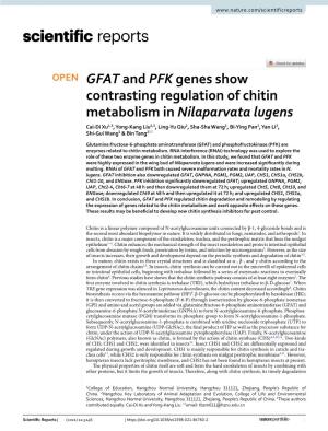 GFAT and PFK Genes Show Contrasting Regulation of Chitin