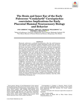 “Condylarth” Carsioptychus Coarctatus: Implications for Early Placental Mammal Neurosensory Biology and Behavior