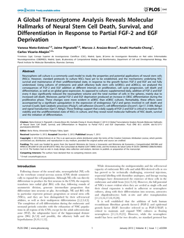 A Global Transcriptome Analysis Reveals Molecular Hallmarks of Neural Stem Cell Death, Survival, and Differentiation in Response to Partial FGF-2 and EGF Deprivation