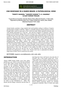 Cns Response in a Rabid Brain: a Pathological View