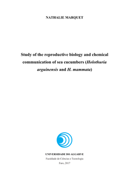 Study of the Reproductive Biology and Chemical Communication of Sea Cucumbers (Holothuria Arguinensis and H