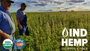 Hemp Seed Food Processing Facility in Fort Benton, Montana- the Heart of Montana’S ‘Golden Triangle’ of Grain Production