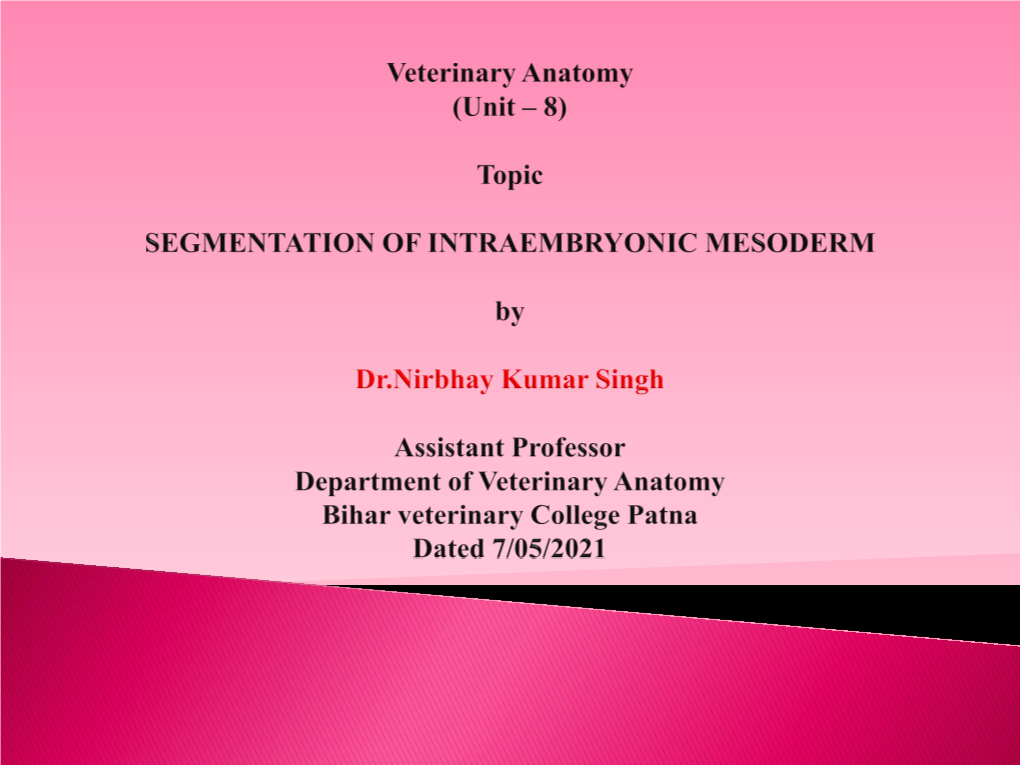 Segmentation of Intraembryonic Mesoderm