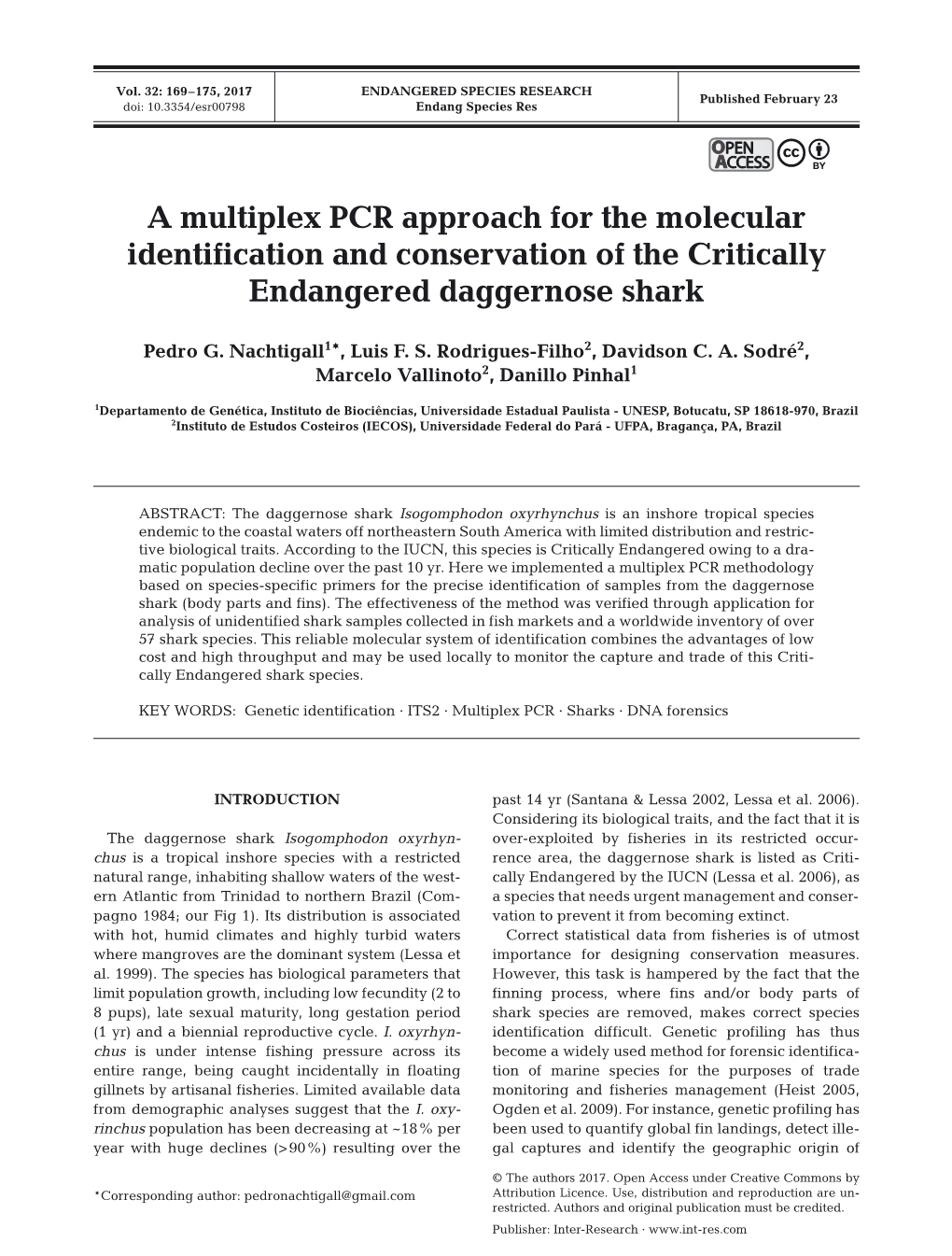 A Multiplex PCR Approach for the Molecular Identification and Conservation of the Critically Endangered Daggernose Shark