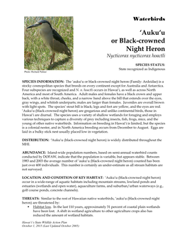 'Auku'u Or Black-Crowned Night Heron