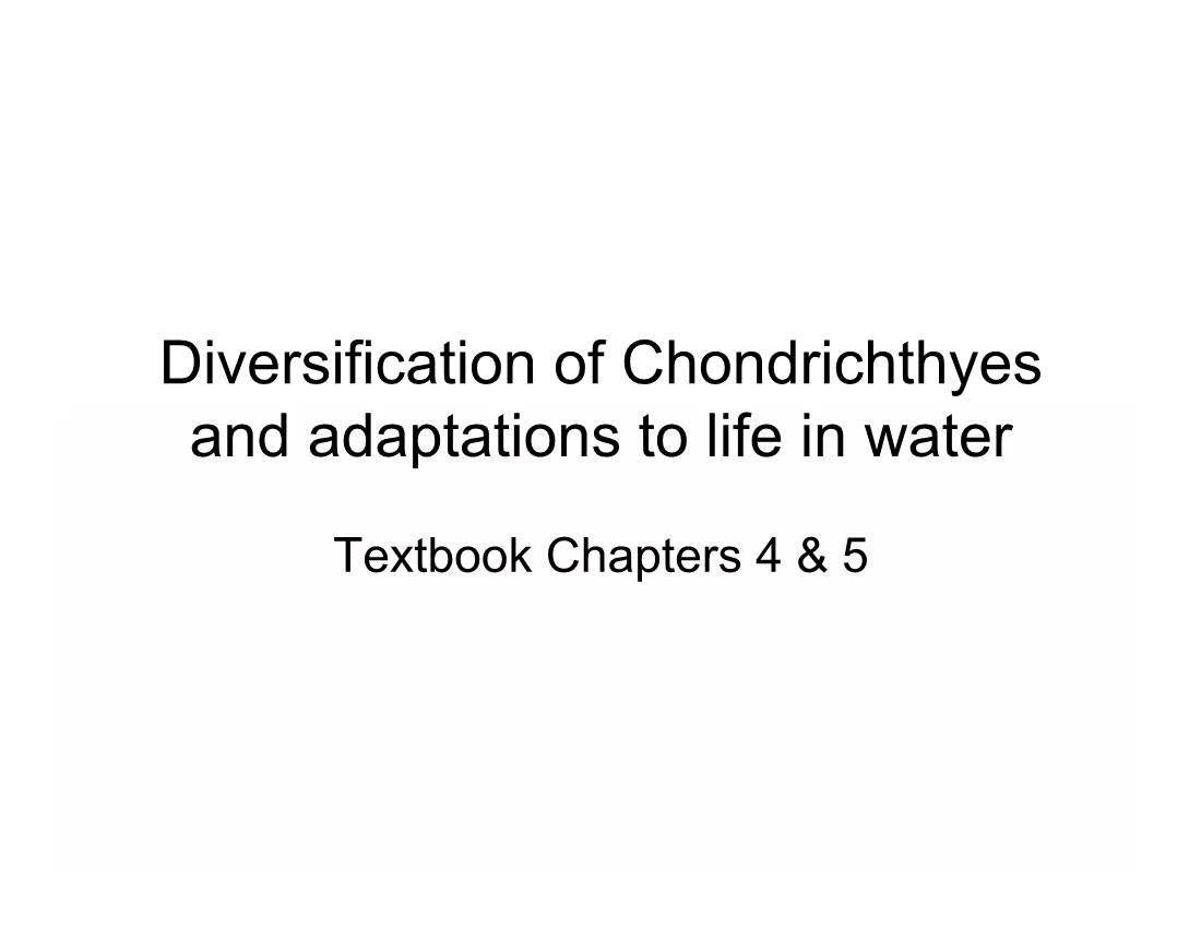 Diversification of Chondrichthyes and Adaptations to Life in Water