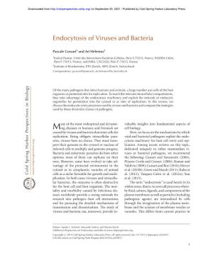 Endocytosis of Viruses and Bacteria