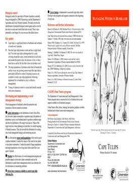 Cape Tulips (Moraea Flaccida & M. Miniata), Managing Weeds In