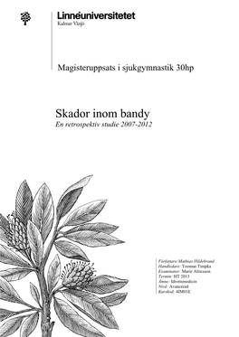Skador Inom Bandy En Retrospektiv Studie 2007-2012