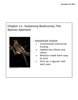 Chapter 11: Sustaining Biodiversity-The Species Approach