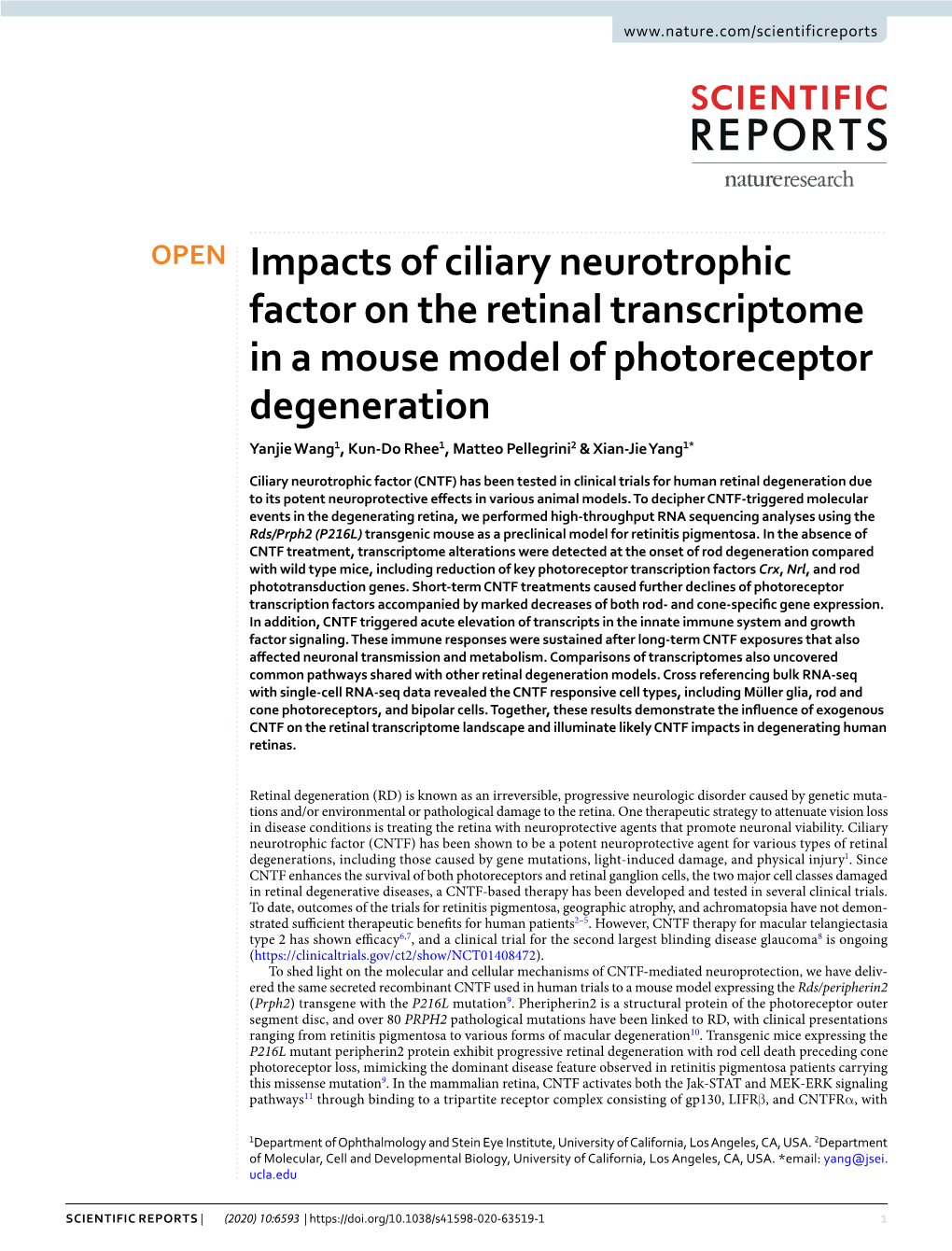 Impacts of Ciliary Neurotrophic Factor on the Retinal Transcriptome in a Mouse Model of Photoreceptor Degeneration