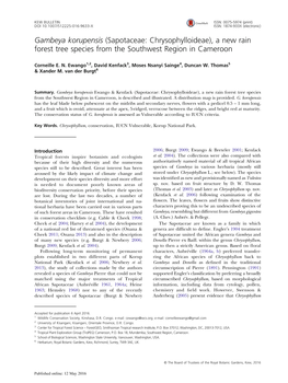 Gambeya Korupensis (Sapotaceae: Chrysophylloideae), a New Rain Forest Tree Species from the Southwest Region in Cameroon