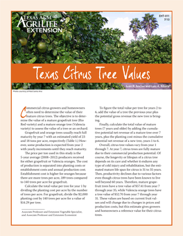 Texas Citrus Tree Valuesjuan R