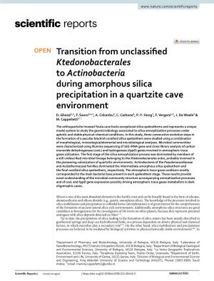 Transition from Unclassified Ktedonobacterales to Actinobacteria During Amorphous Silica Precipitation in a Quartzite Cave Envir