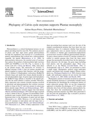 Phylogeny of Calvin Cycle Enzymes Supports Plantae Monophyly