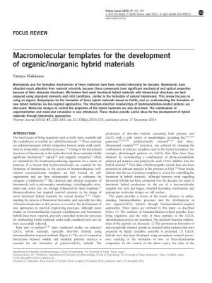 Macromolecular Templates for the Development of Organic/Inorganic Hybrid Materials