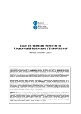 Estudi De L'expressió I Funció De Les Ribonucleotidil Reductases D'escherichia Coli