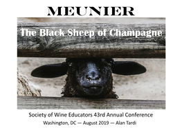 MEUNIER the Black Sheep of Champagne